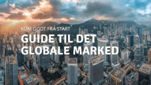 Guide til det globale marked