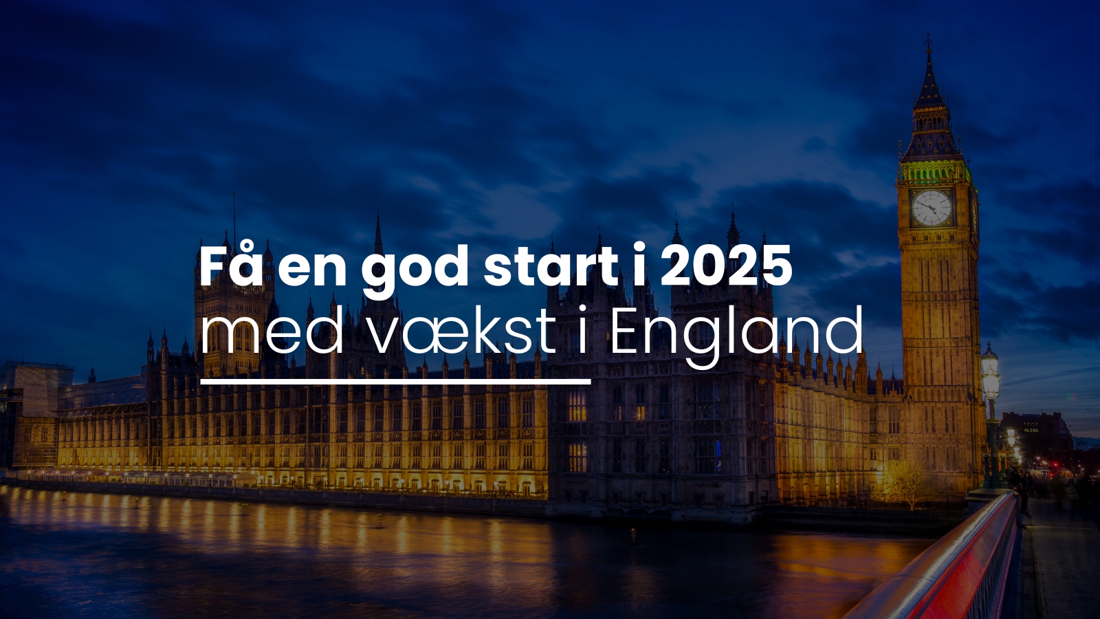 startup og scaleup
